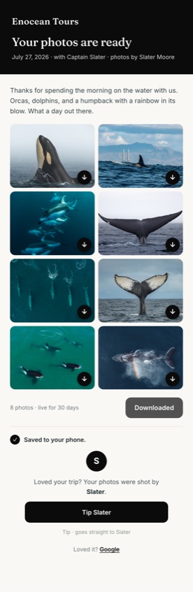 A branded guest gallery of whale photos with download buttons and an optional tip button